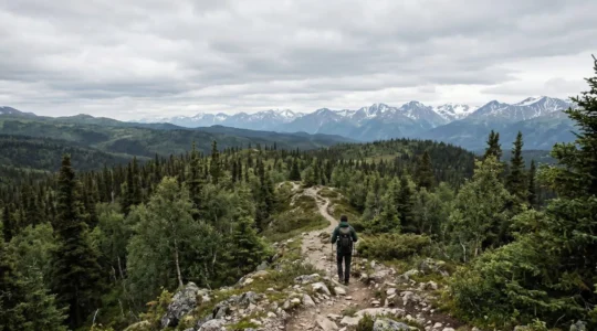 Escursionista in cammino su sentiero remoto tra foreste e montagne incontaminate